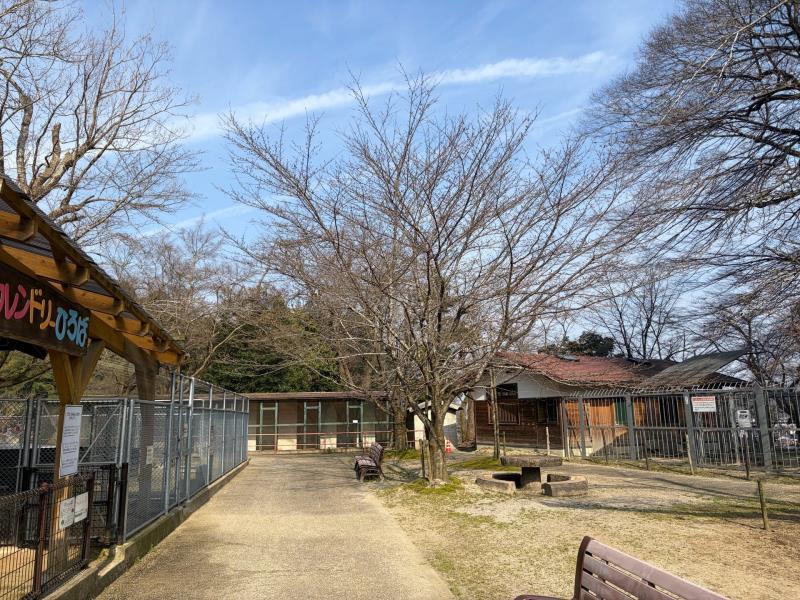 動物舎周辺